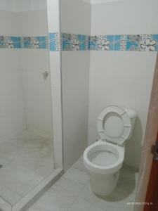 een badkamer met een toilet en een douche bij Casa Shangai 3 in Santa Marta