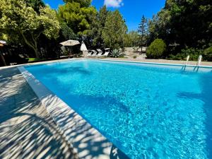 San Donato di LecceにあるVILLA LI CUTI - property for exclusive useの木々が茂る青いスイミングプール