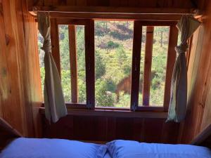 a bedroom with a bed and a window with a view at Vườn Nhà Củi in Da Lat