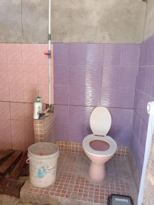 e bagno con servizi igienici e piastrelle viola. di Amfriwen Homestay a Yennanas Besir