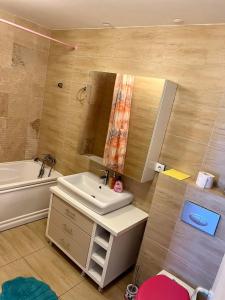 La salle de bains est pourvue d'un lavabo, d'un miroir et d'une baignoire. dans l'établissement Feliz dia, à Ştefăneştii de Jos