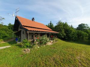 een klein huis met een rood dak op een veld bij Holiday Home Modruš in Modruš