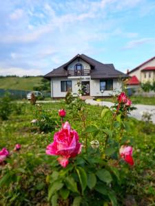 une maison avec des roses roses devant une maison dans l'établissement Vila Kalibu, à Piatra Neamţ