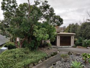 a house with a tree and a garage at Large, Comfy, Stylish Apartment in Havelock North