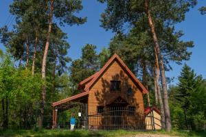 a house in the middle of a forest at Całoroczny Domek nad Jeziorem in Białka