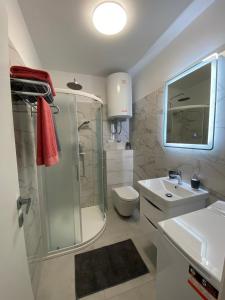 bagno con doccia, lavandino e servizi igienici di Roberto a Fažana