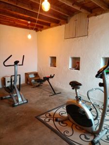 Fitness centrum a/nebo fitness zařízení v ubytování Château d'Arfeuilles Chambres et tables d'hôtes