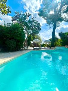una piscina azul con árboles y sombrillas en La chambre de Léopoldine, en Vérargues