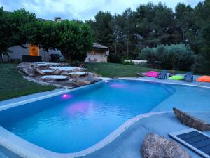 a large swimming pool with blue water in a yard at Villa Pio in Roquebrune-sur-Argens