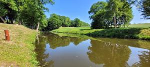 un río con árboles reflectantes en el agua en ApartSatiDeluxe, en Pasłęk