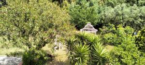 A garden outside Villa Rosa de Mar