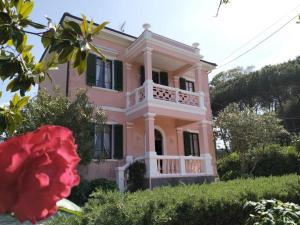 A garden outside Villa Rosa de Mar