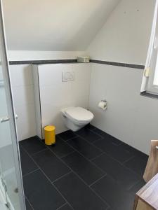 a bathroom with a toilet and a black tile floor at Sunnyside Hasloh 