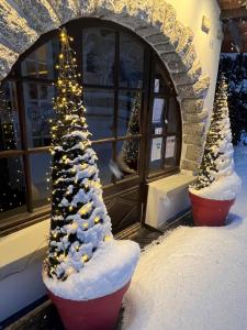 two christmas trees in front of a building with snow at Coeur des Neiges in Saint-Gervais-les-Bains