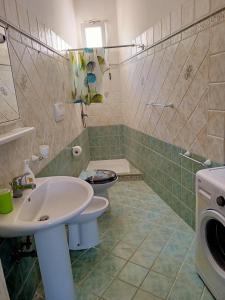 ein Bad mit einem Waschbecken und einem WC in der Unterkunft Il monolocale verde conchiglie e fiori in Ponza