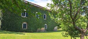 an ivy covered building with windows and a tree at Old house Nilovic in Livari