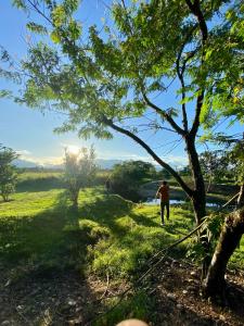 un hombre caminando en un campo con un árbol en Hacienda Veracruz en Villagarzón