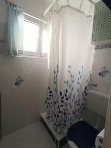 a bathroom with a shower with a shower curtain at Casa Lauda in Pillichsdorf in Pillichsdorf