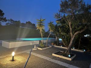 uma piscina com duas palmeiras e uma vela em Habitación con baño Malva em Lepe