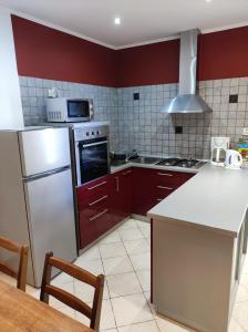 eine Küche mit einem Kühlschrank aus Edelstahl und roten Wänden in der Unterkunft Apartmani Anđela Kordić in Rab