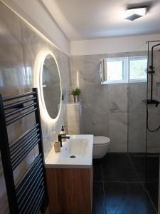 a bathroom with a sink and a toilet and a mirror at Apartman Lucy in Slatine