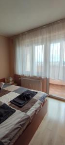 sypialnia z dużym łóżkiem i oknem w obiekcie Central Vanilla Oradea w mieście Oradea