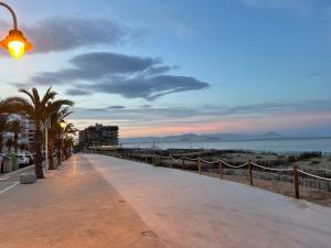 阿雷納萊斯德索的住宿－Sea-view 3-bedroom apartment near Alicante，海滩旁的一条人行道,种植了棕榈树