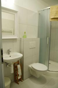 a bathroom with a toilet and a sink and a shower at Kipi Casa Family Apartment 3+2 with living room in Lazany