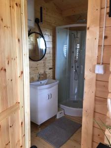 a bathroom with a shower and a toilet and a sink at Sosnowy Zakątek Stegna- domki letniskowe in Stegna