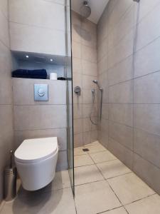 La salle de bains est pourvue d'une douche et de toilettes. dans l'établissement Vista Monaco, 5mn walk to Monaco, Amazing view, à Beausoleil