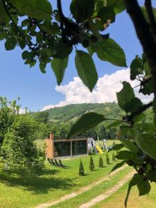 a building in the middle of a field with trees at RDT Guest House-Rai din Transilvania in Moieciu de Jos
