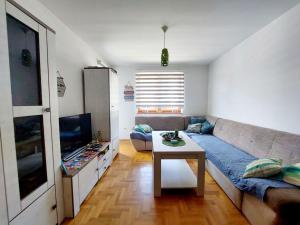ein Wohnzimmer mit einem Sofa und einem Tisch in der Unterkunft Apartman Teo in Lukavica