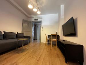 Televízia a/alebo spoločenská miestnosť v ubytovaní BISCHOFSBERG Gdańsk City Center Apartments