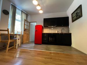 Kuchyňa alebo kuchynka v ubytovaní BISCHOFSBERG Gdańsk City Center Apartments