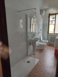 a bathroom with a shower and a sink and a toilet at La casa di GB in Pieve di Teco +10 photos