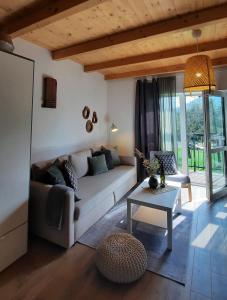 ein Wohnzimmer mit einem Sofa und einem Tisch in der Unterkunft Vulcanus Apartment in Badacsonytomaj