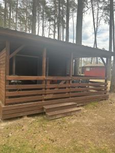 ein Holzhaus mit einem Dach im Wald in der Unterkunft Domek Wakacyjny Monika 30 in Głębokie