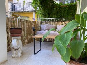 un banc sur une terrasse avec une plante dans l'établissement Les Sources, à Fontaine-de-Vaucluse