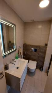 a bathroom with a sink and a toilet and a mirror at Furnished apartment in Damac Tower. Jordan in Amman