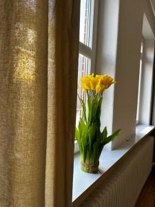Fotografie z fotogalerie ubytování Großzügige 3-Zimmer Altbauwohnung v destinaci Kiel