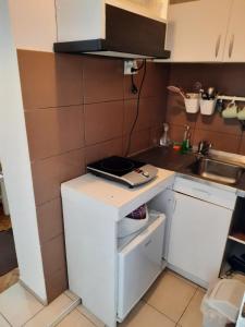 uma pequena cozinha com um balcão e um lavatório em Apartmani Biljana Lazić em Vrnjačka Banja