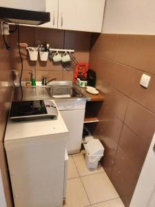 una pequeña cocina con lavabo y aseo en Apartmani Biljana Lazić, en Vrnjačka Banja