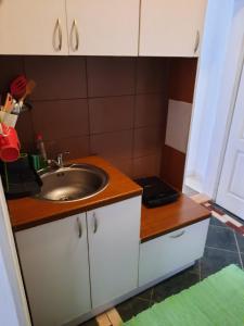 a kitchen with a sink and a counter top at Studio Vrnjci 961 in Vrnjačka Banja +37 photos