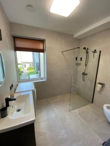 ein Bad mit einer Dusche und einem Waschbecken in der Unterkunft Urbas Sea view apartment in Nida