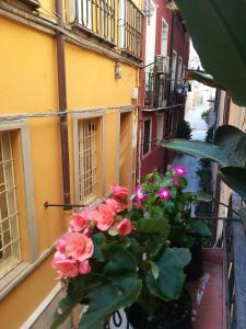 Afbeelding uit fotogalerij van Dimore Castello in Cagliari