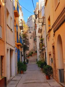 an alley in an old town with stairs and plants at Newly renovated 2 bed apartment in Blanes old town 50m from the beach! in Blanes
