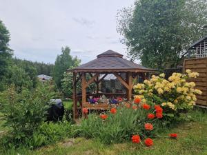 Zahrada ubytování Willa Rosa-apartamenty z prywatną sauną