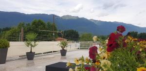 a balcony with potted plants and mountains in the background at Skyview Studio in Kerkíni