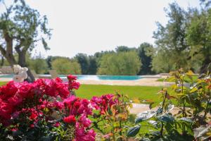 Ein paar rosa Blumen im Garten in der Unterkunft Masseria Parco della Grava in Pezze di Greco