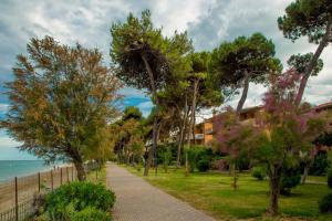 un camino junto a la playa con árboles en Albergo Il Veliero, en Pineto